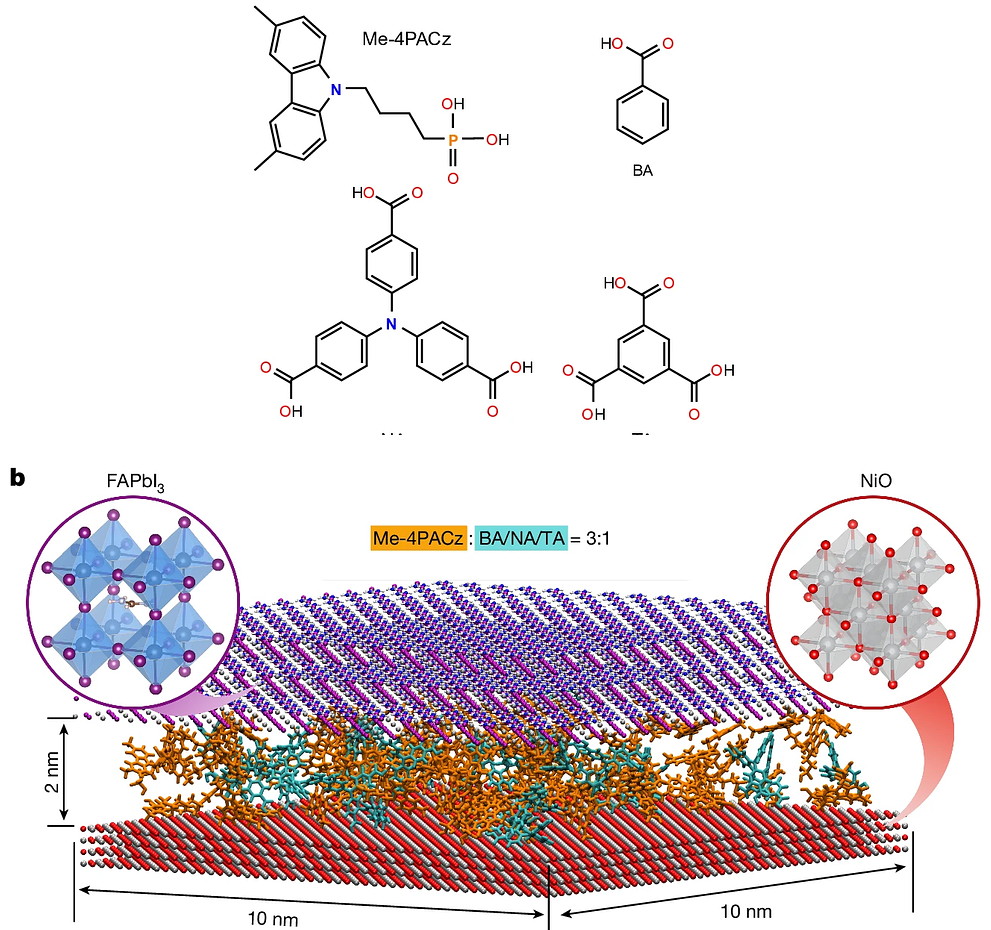 The four designed molecules, and the mixed monolayer they form between the perovskite and the oxide surface